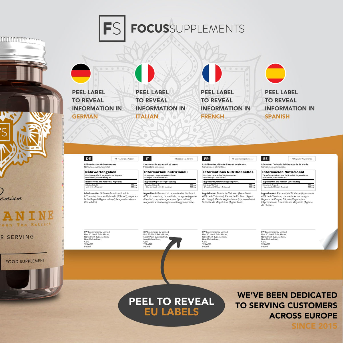 Focus FS L Theanine | 90 L-Theanine Capsules from Green Tea - High Strength 750mg Green Tea Extract Providing 300mg L'theanine per Serving | L Theanine Supplement | Non-GMO Gluten Free | Made in UK