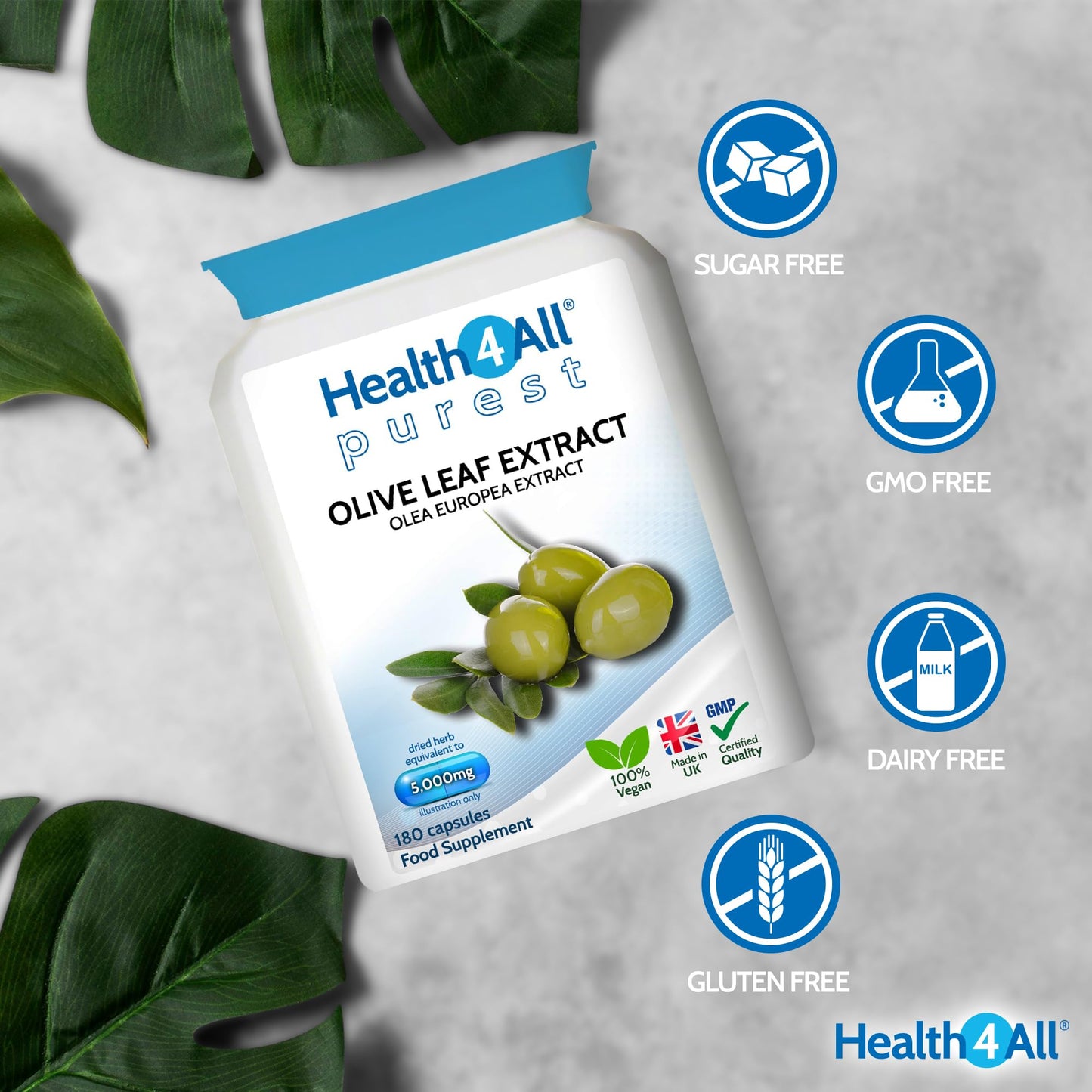 Health4All Olive Leaf Extract - 100mg Oleuropein Per Capsule | 180 Vegan Capsules (6 Month Supply) 20% Standardised 10:1 Extract from Wild European Leaves | No Additives | Immune & Heart Support