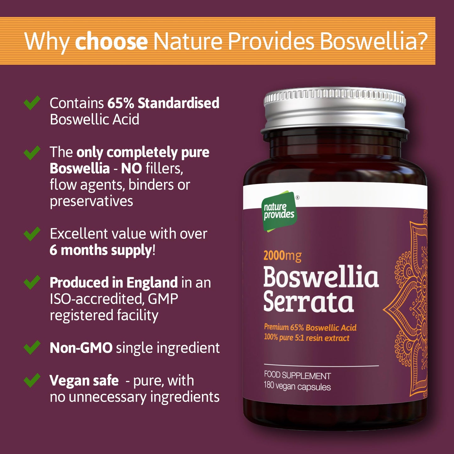Nature Provides Boswellia Serrata Capsules 2000mg 5:1 Extract - 180 Vegan Caps - 6 Months Supply - 65% Boswellic Acid - Joint Support Supplement - Indian Frankincense