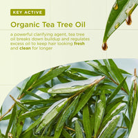 Dr. Organic Dr Organic Tea Tree Shampoo, Purifying, Oily Roots & Scalps, Natural, Vegan, Cruelty-Free, Paraben & SLS-Free, Recyclable & Recycled Ocean Bound Plastic, Certified Organic, 265ml, Packaging may vary