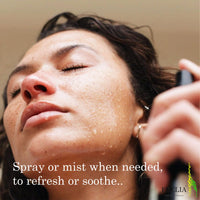 Feelia – Organic Witch Hazel Hydrosol (14% Alcohol), Steam Distilled, Pure & Natural Toner, All Skin Types, Soothe & Calm The Skin, Natural & Gentle (14% Alcohol)