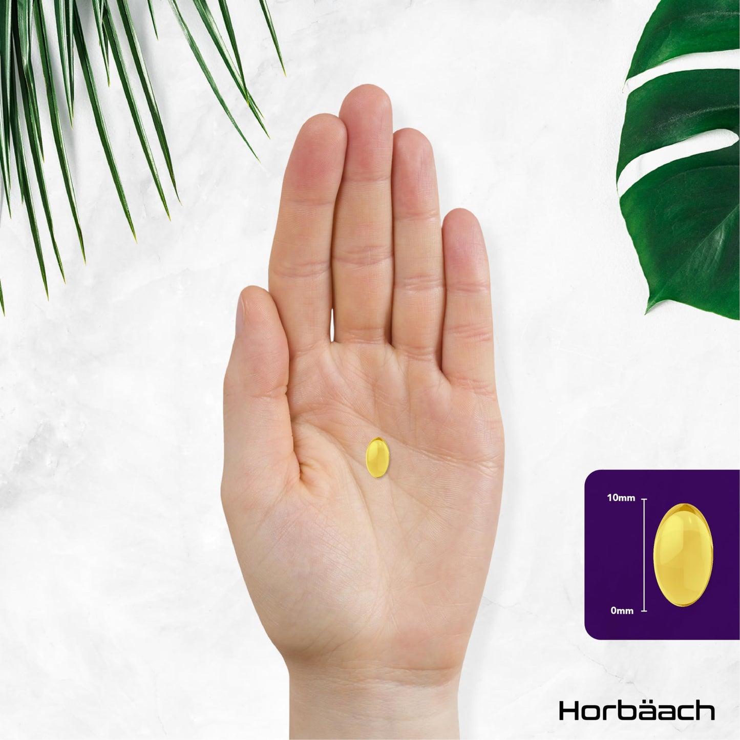 Evening Primrose and Starflower Oil Capsules 1000mg | with Vitamin B6 | 60 Softgels | Rich Source of Omega 6 GLA & 9 Oleic Fatty Acids | by Horbaach