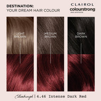 Clairol CLAIROL COLOUR STRONG PERMANENT HAIR DYE - 4.46 INTENSE DARK RED
