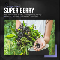 ALPHA01 Black Elderberry Extract Capsules - 1200mg - Wild European Sambucus Extract 10:1 for Immunity - Vegan, Non-GMO, Kosher, Gluten Free. 90 Vegan Capsules.