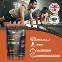 Shilajit 500mg Vegan Capsules -1500mg 30:1 Extract | 60% Fulvic Acid | High Strength Shilajit for Men & Women| Rich in Trace Minerals | No Additives & Fillers by PROELITE (60 Capsules)