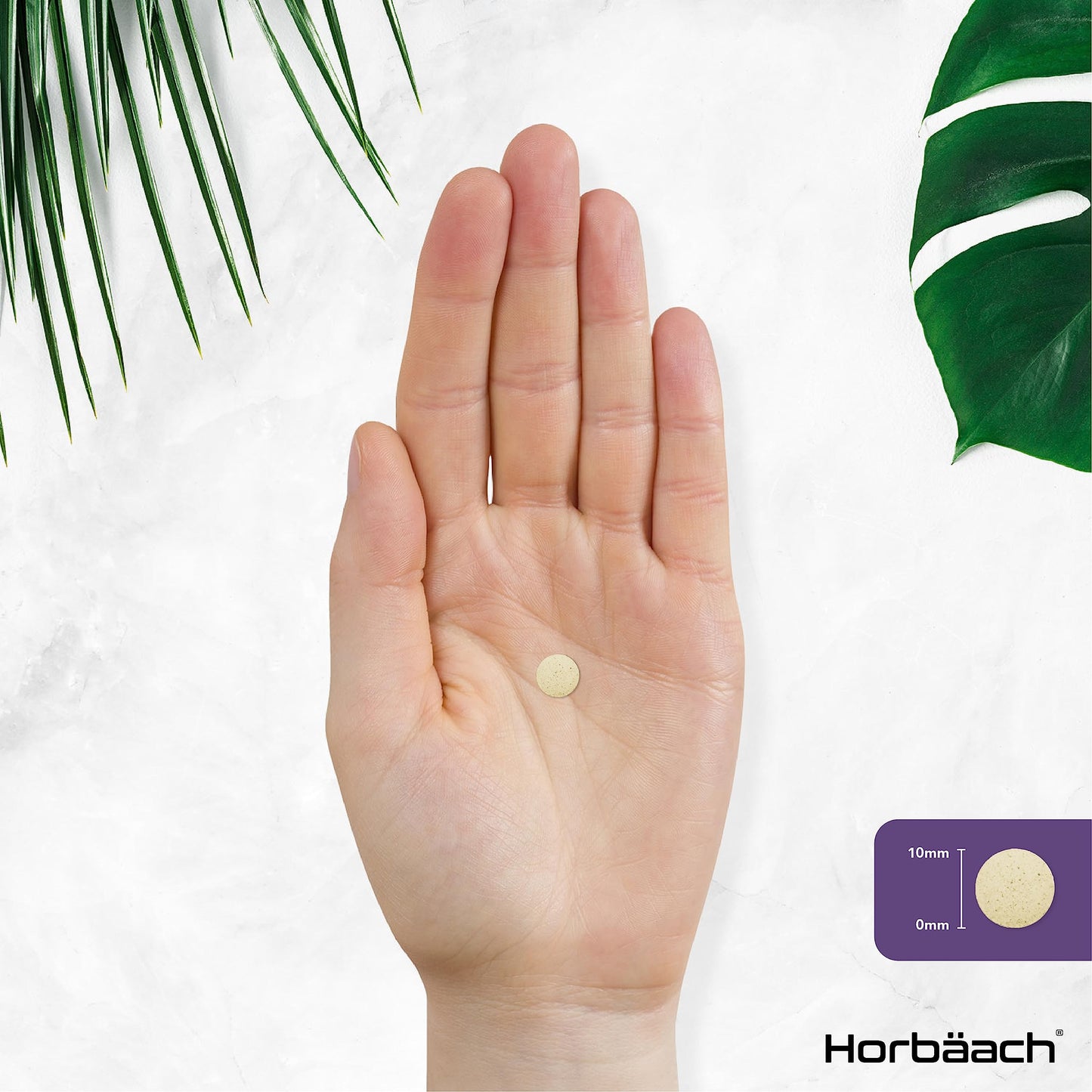 Horbäach Quercetin Supplement 760mg Complex | 120 Vegan Tablets | Providing 519mg of Quercetin with Bromelain, Vitamin C, Rosehip, Acerola and Rutin | by Horbaach