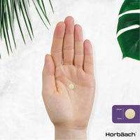Horbäach Quercetin Supplement 760mg Complex | 120 Vegan Tablets | Providing 519mg of Quercetin with Bromelain, Vitamin C, Rosehip, Acerola and Rutin | by Horbaach