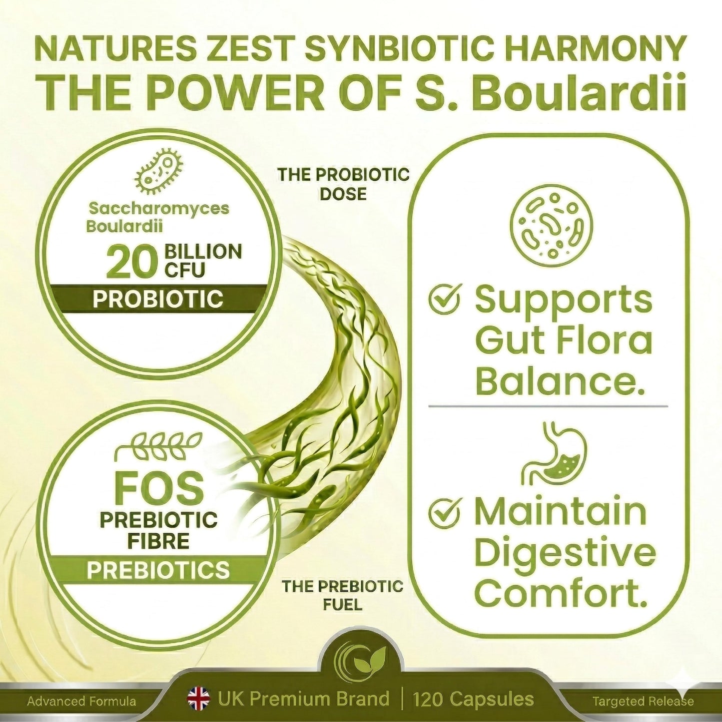 Natures Zest Saccharomyces Boulardii 20 Billion CFU - 120 Capsules | High Strength Prebiotics and Probiotics for Women & Men | Digestion Supplement with Natural Postbiotic Benefits | Vegan | 4 Months Supply