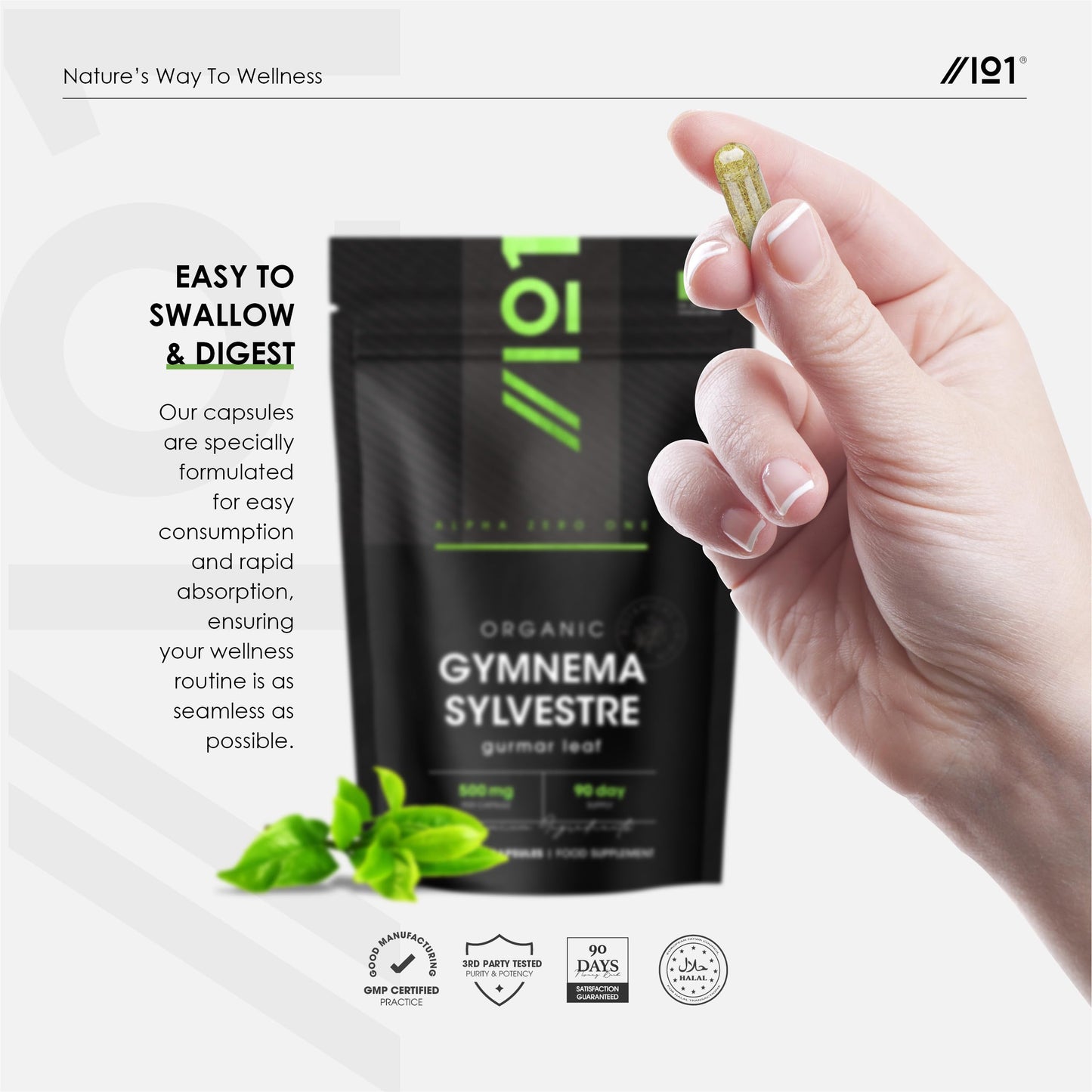 ALPHA01 Organic Gurmar (Gymnema Sylvestre) 500mg - 90 Vegan Capsules (3 Month Supply) – High Strength Gurmar Leaf Supplement – Resealable and Recyclable Pouch by Alpha01