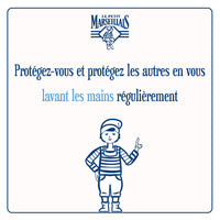 Le Petit Marseillais Liquid Soap with Antibacterial Action 300ml