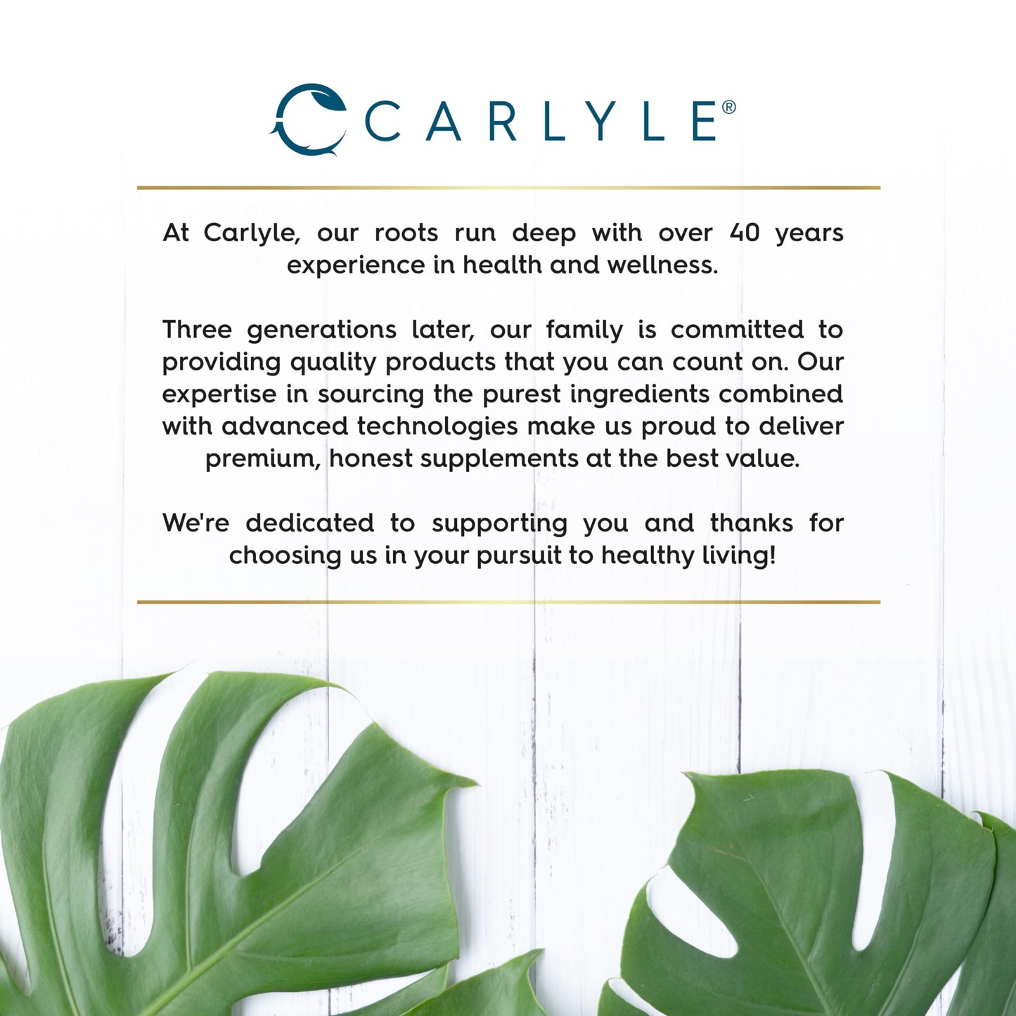 Iodine Tablets 500mcg | High Strength Iodine Supplement | 365 Vegan Tablets | by Carlyle