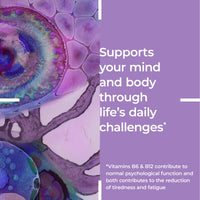 Zenflore 12 Week Plan - by PrecisionBiotics - Probiotics Supplement with Unique Bifidobacterium Longum Bacteria Strain 1714 + Vitamin B6 and B12 - for Mental Performance - 90 Capsules