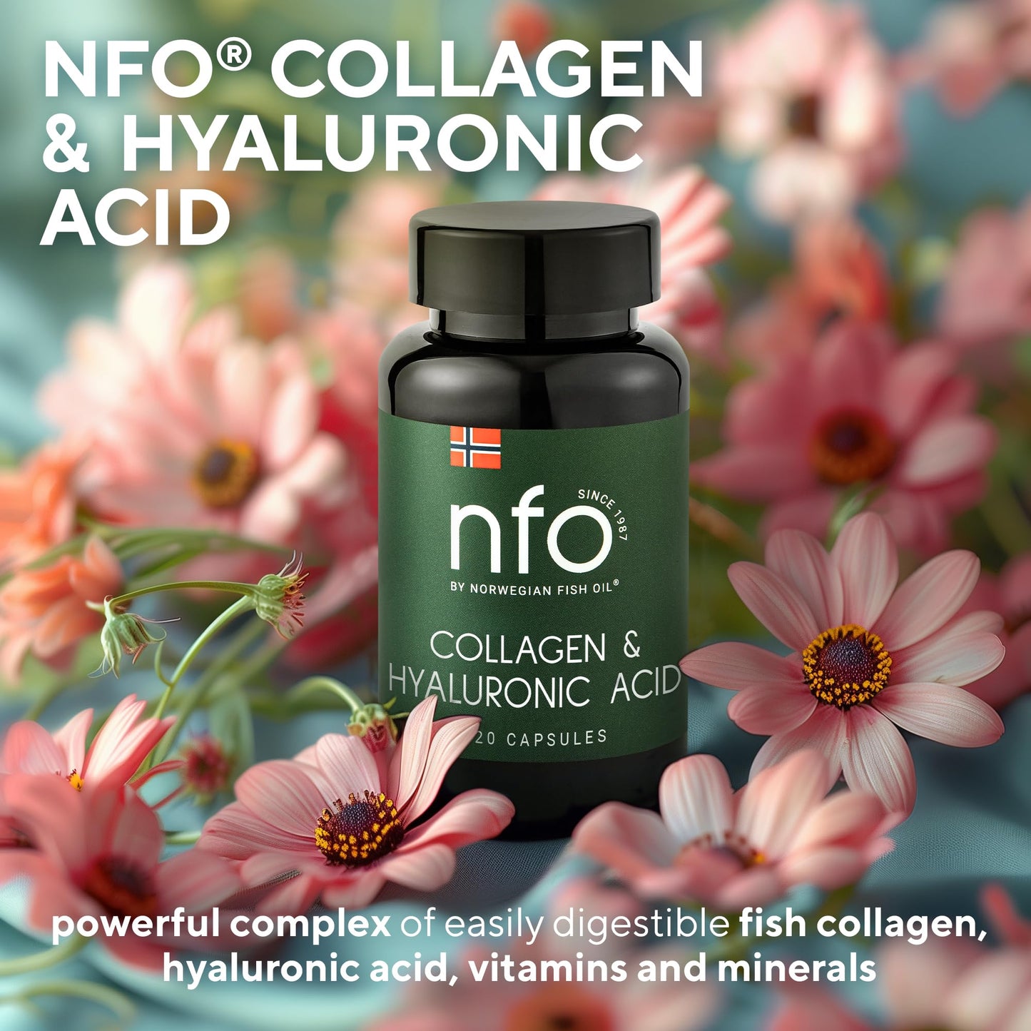 NFO Collagen & Hyaluronic Acid [120 Capsules] Natural High-Dose Complex of Fish Collagen, Hyaluronic Acid, Vitamin C, Biotin, Zinc for Healthy Skin, Hair, Nails, Teeth, Made in Finland