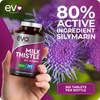 EVO NUTRITION Milk Thistle Tablets | 80% Silymarin | 365 Tablets | Vegan Supplement | Milk Thistle Capsules Alternative | Made in The UK