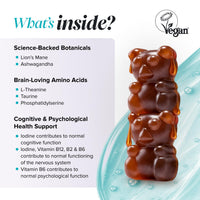 novomins Kids Focus Gummies | 30 Nootropic Gummies | Lion's Mane, Ginseng | Novomins