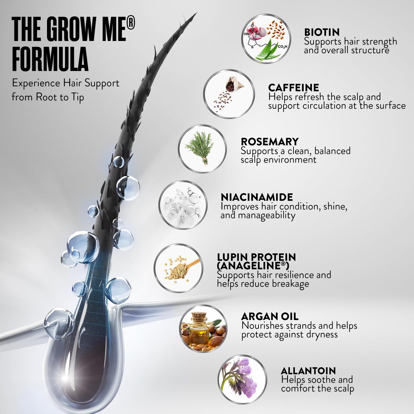 WATERMANS Watermans Grow Me® Hair Growth Shampoo - Not just a Caffeine Shampoo we include Biotin, Argan Oil, Rosemary, Niacinamide. Hair Thickening Treatment for Women & Men with progressed thinning.