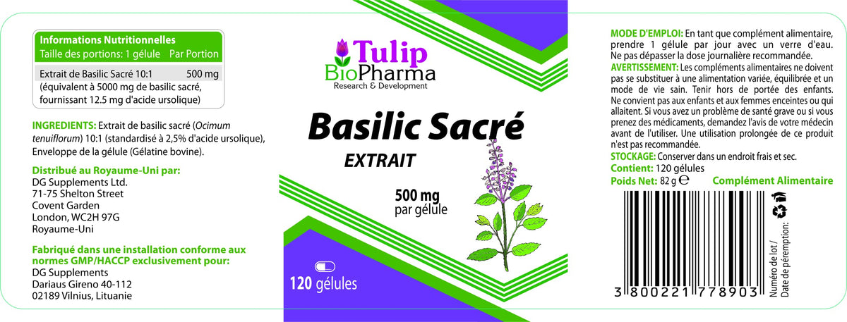 Tulip BioPharma Tulsi Holy Basil 5,000mg Equivalent | 120 Capsules | 4-Month Supply | 500mg 10:1 Ocimum Sanctum Extract | 3rd Party Lab Tested