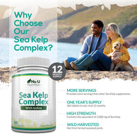 Sea Kelp Iodine Supplement Complex - 365 Vegan Tablets - 435mcg of Iodine per Tablet - 1 Year Supply - Wild Harvested Seaweed - GMO Free - Made in The UK - Nu U Nutrition
