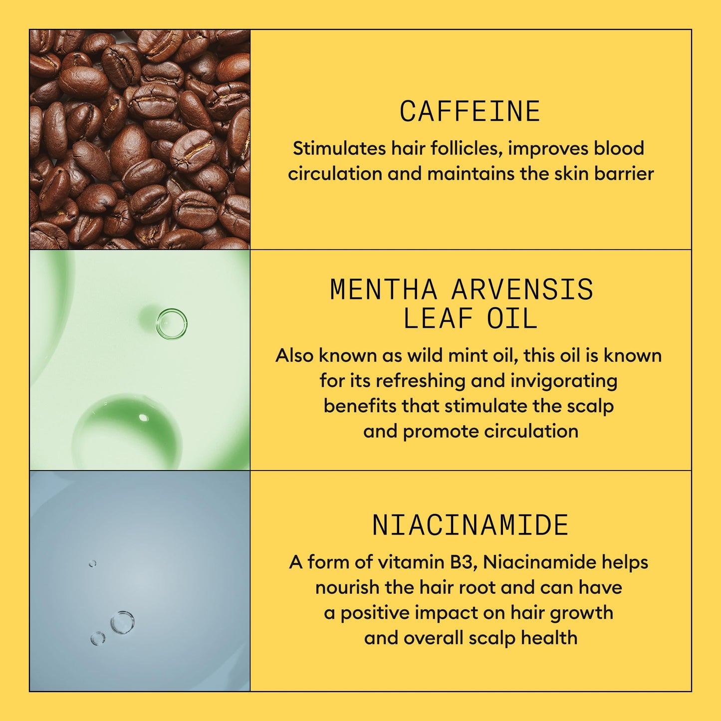 NIOXIN Nioxin System 1 Scalp + Hair Thickening Treatment - Hair Serum for Natural Hair with Light Thinning - WIth Biotin & Niacinamide (100ml)