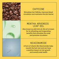 NIOXIN Nioxin System 1 Scalp + Hair Thickening Treatment - Hair Serum for Natural Hair with Light Thinning - WIth Biotin & Niacinamide (100ml)