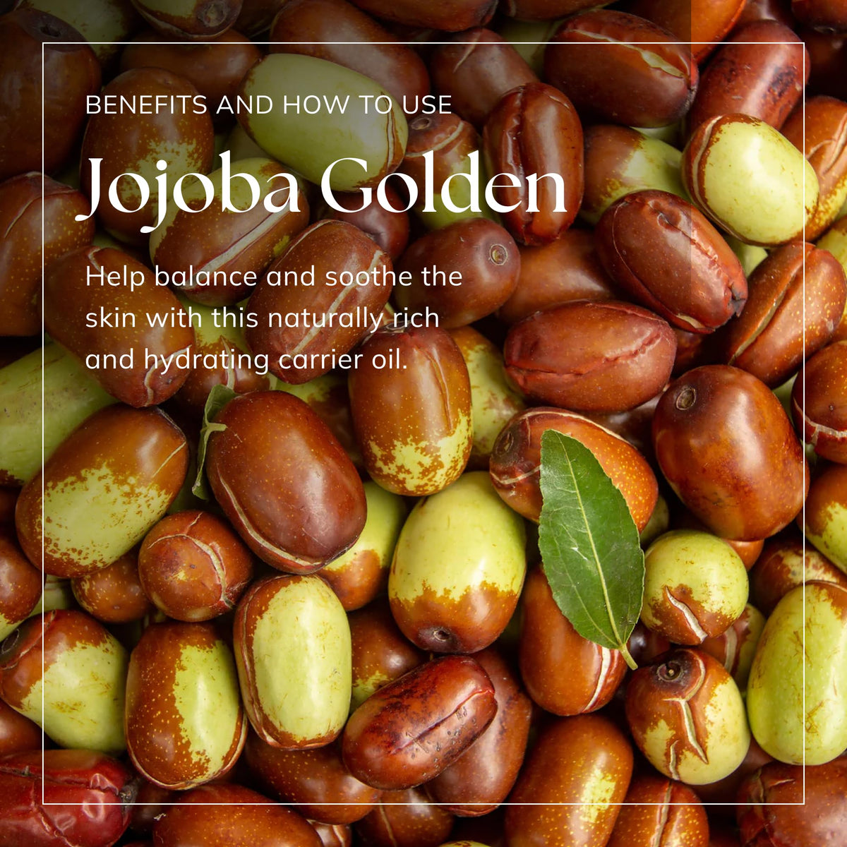 nikura Nikura Jojoba Oil Golden - 250ml | For Skin, Hair Growth, Face, Body, Scalp, Eyelashes & Nails | Moisturising & Hydrating | For Essential Oils | Natural, Vegan & UK | BPA Free