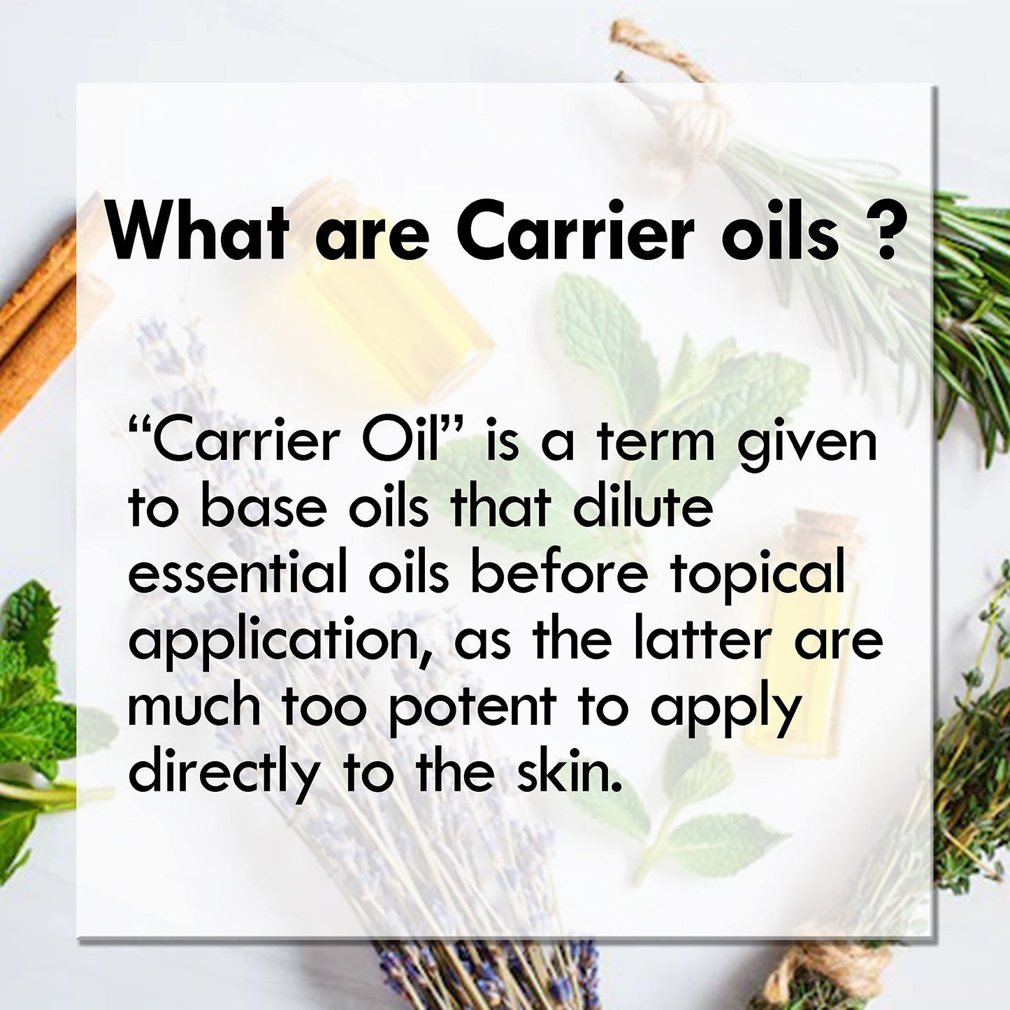 DEVPRAYAG Devprayag Pure Moringa Oil (Moringa oleifera) Natural Therapeutic Grade Cold Pressed (Pack of Three) 100ml x 3 (10 oz)