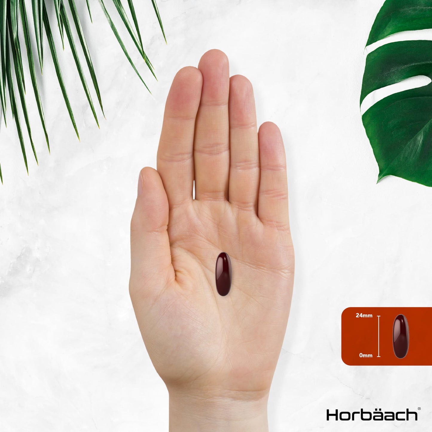 Horbäach Soy Lecithin 1400mg | 240 Softgel Capsules | High Strength Lecithin Sourced from Soy Beans | Preservative Free | by Horbaach