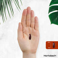 Horbäach Soy Lecithin 1400mg | 240 Softgel Capsules | High Strength Lecithin Sourced from Soy Beans | Preservative Free | by Horbaach