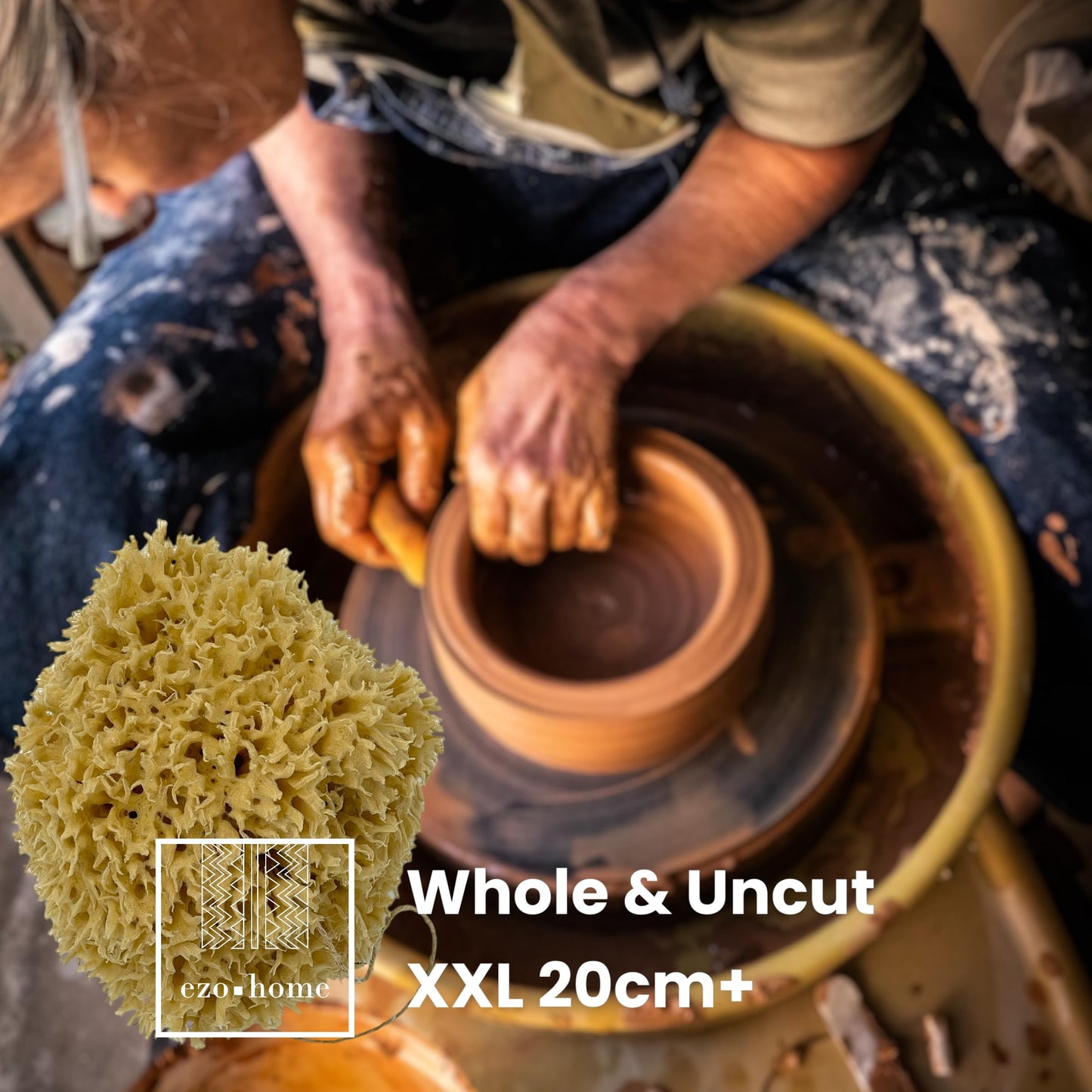 Ezo.Home XXL Sea Sponge Very Large 18-20cm Unbleached Honeycomb Natural Seasponge for Bath Use, for Baby, or Art use (XXL Size Minimum 18cm+) Whole Uncut