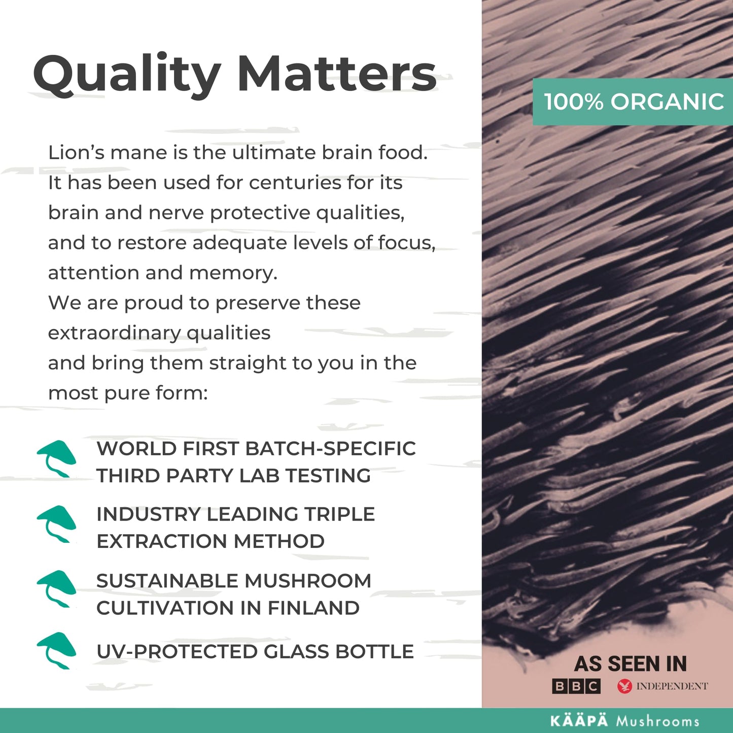 KAAPA MUSHROOMS ORGANIC LIONS MANE MUSHROOM EXTRACT TINCTURE | Unique & Potent Triple Extraction Method | Grown in Finland | Mushroom Supplement for Cognitive Function, Brain & Memory | 50ml