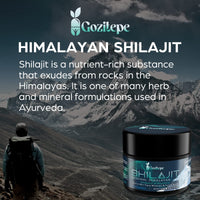 Shilajit High Potency Purified Himalayan Shilajit Resin with Bioavailable Fulvic Minerals & Humic Acid, Vegan, Replenish Energy and Immune Support, 60g (Pack of 2)