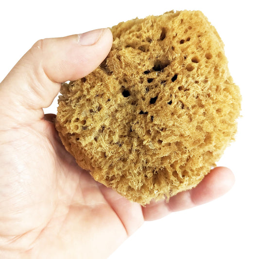 Natural Sponge - Grass Sea Sponge for Bath and Shower | Unbleached Bathing Sponge for Adults & Children (Small (4-4.5"/10-11cm), Pack of 4)