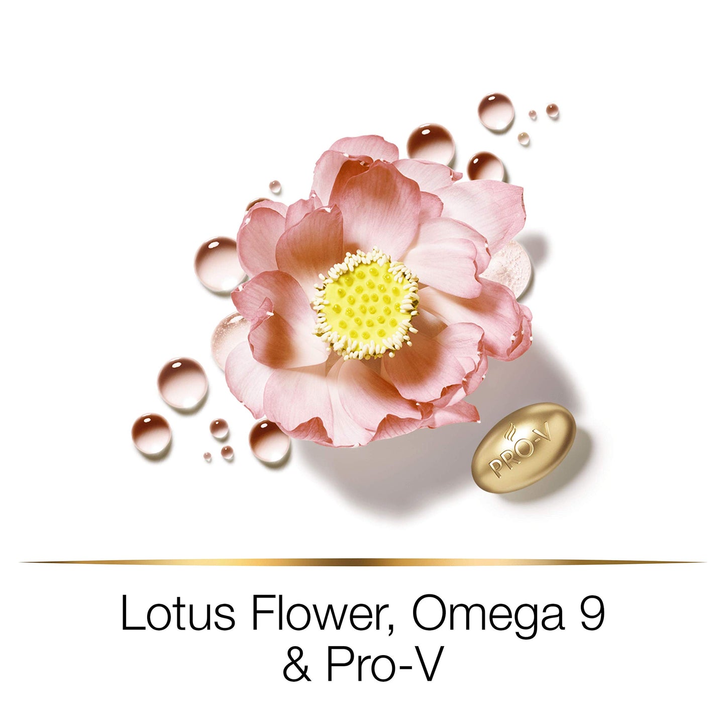 Procter & Gamble Pantene Hair Biology Full & Vibrant Volumising And Repairing Hair Shampoo For Fine, Thinning, Dull, Coloured Hair With Lotus Flower, Omega 9, 250ml