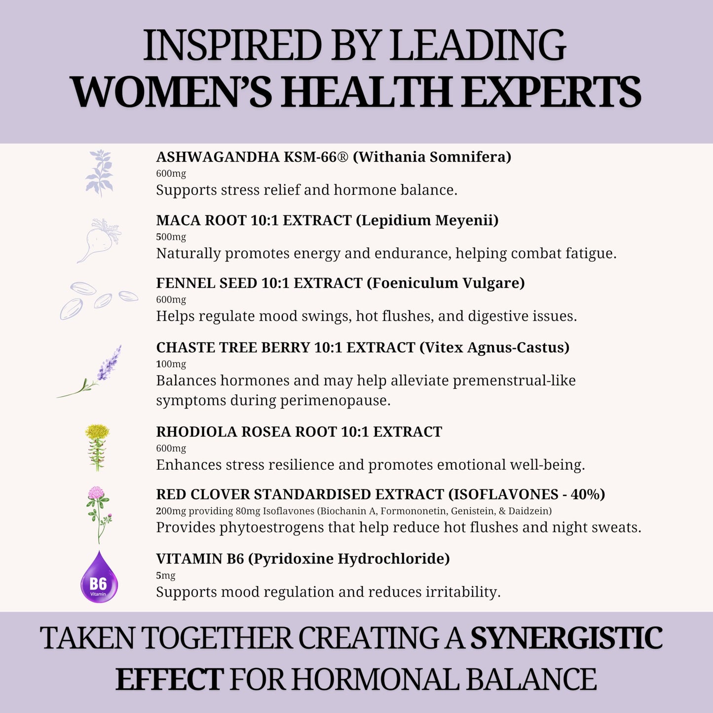 The Supplement Stack - Perimenopause & Menopause - Ashwagandha KSM-66, Maca, Fennel, Chaste Tree Berry, Red Clover & Rhodiola for Hormone Balance, Hot Flushes, Sweats & Mood Support – UK Company