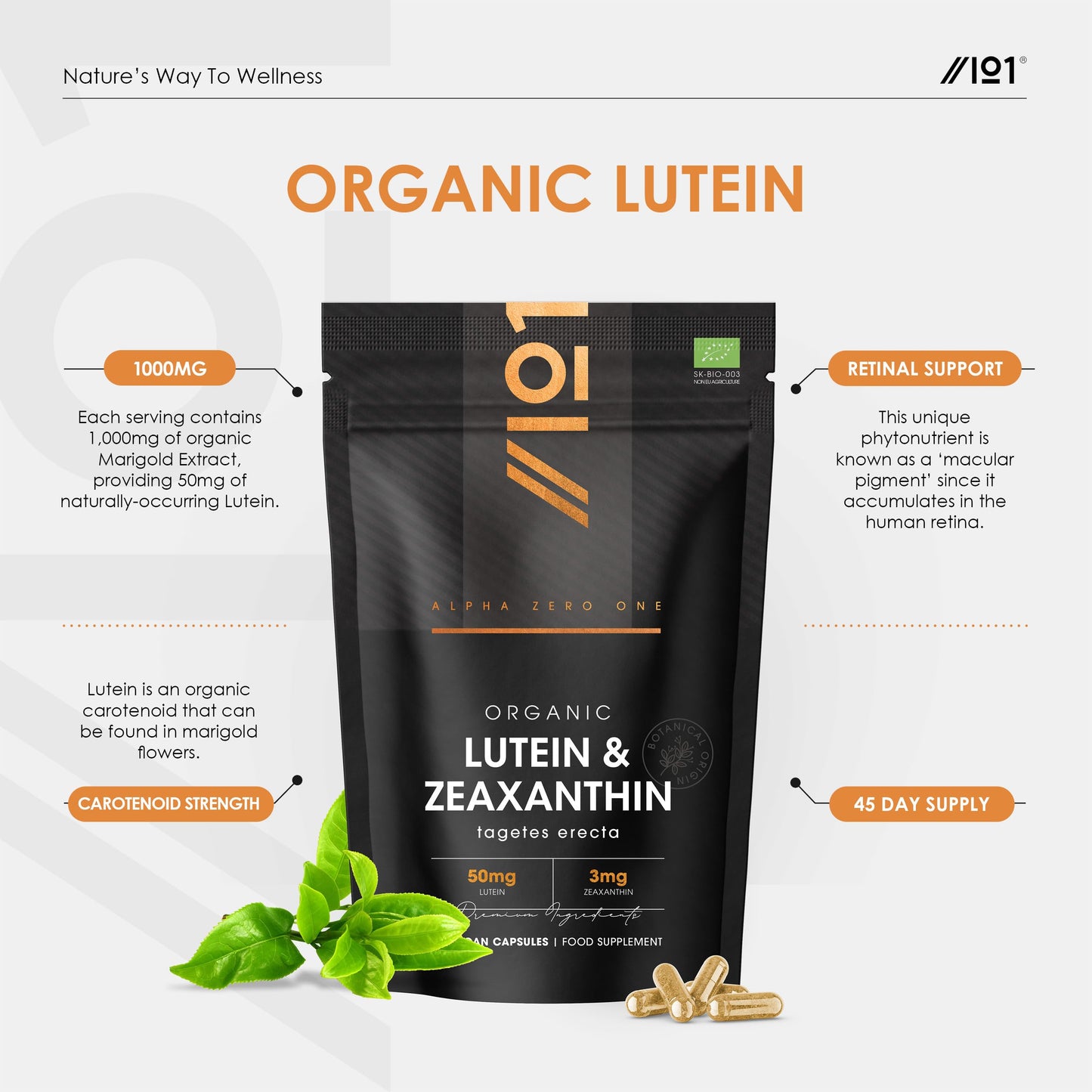 ALPHA01 Organic Lutein & Zeaxanthin – 50mg Lutein & 3mg Zeaxanthin from Organic Marigold Flower Extract – 90 Vegan Capsules – Resealable and Recyclable Pouch by Alpha01