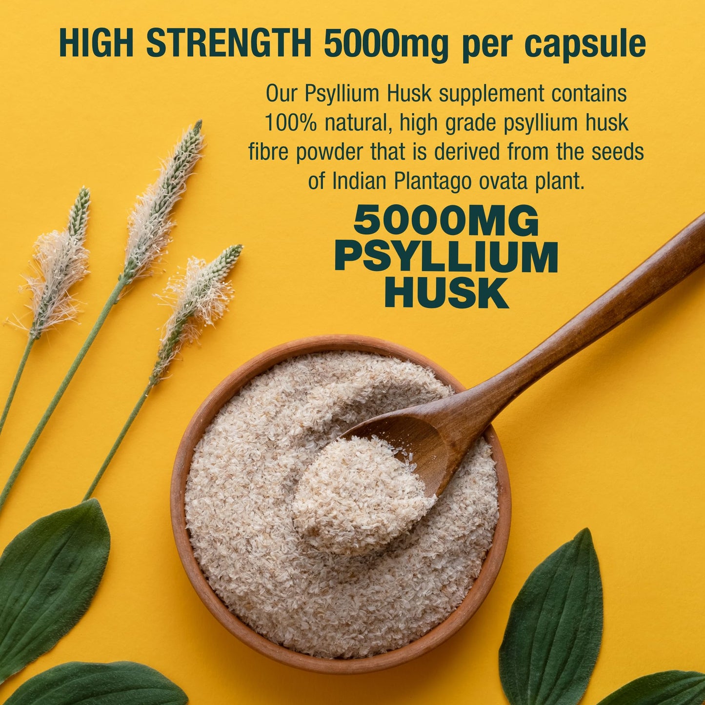 Fibre Supplement 5000mg Psyllium Husk with 500 Million Multi-Strain Probiotic - High Strength - Natural Soluble Fiber Supplement Plantago Ovata Seeds 2 Month Supply Psyllium Husks Capsules Vegan, UK