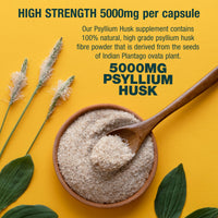 Fibre Supplement 5000mg Psyllium Husk with 500 Million Multi-Strain Probiotic - High Strength - Natural Soluble Fiber Supplement Plantago Ovata Seeds 2 Month Supply Psyllium Husks Capsules Vegan, UK