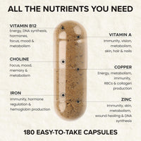 Carnivore Go 100% Grass Fed Beef Liver Capsules - for Energy, Immunity, Focus, Detoxification & Skin Health - 180, 500mg Desiccated Beef Liver Supplements - UK Made - No GMO, Hormones, Antibiotics