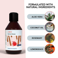 LISCH 100% Natural Head Lice Treatments That Kills Eggs and Lice - Organic Nit Treatment for Kids - Daily Nit Shampoo Extra Strength - Headlice Treatment for Adults and Kids, 250ml of nit Solution