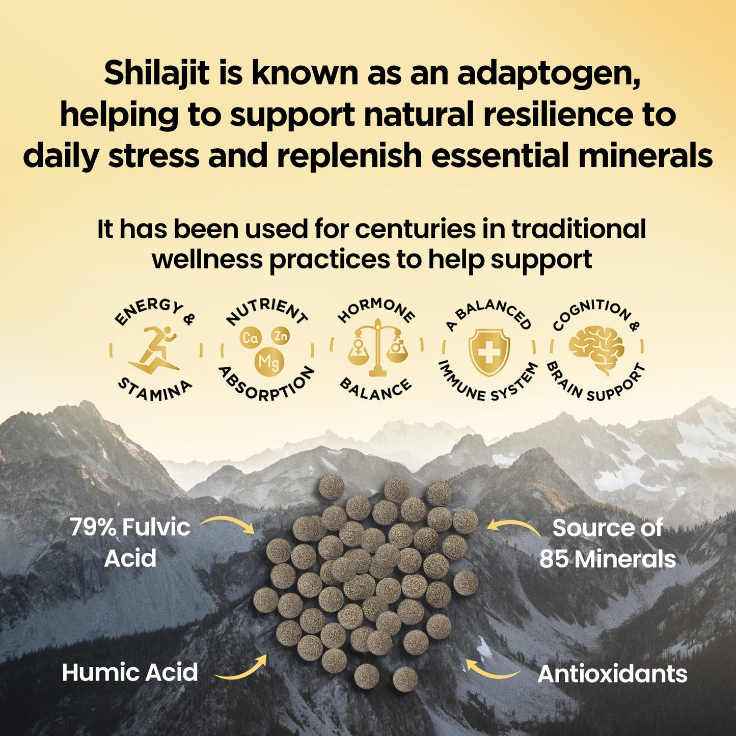 Shilajit Resin Tablets Gold Standard Himalayan Shilajit 79% Fulvic Acid, Third-Party Tested. 60 Tablets - Minerals, Immune System & Energy by Inner Vitality