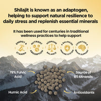 Shilajit Resin Tablets Gold Standard Himalayan Shilajit 79% Fulvic Acid, Third-Party Tested. 60 Tablets - Minerals, Immune System & Energy by Inner Vitality