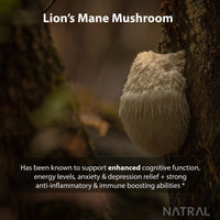 Natral 5000mg Pure Lion's Mane Mushroom High Strength Capsules - 60 Vegan Capsules, No Filler, 100% Fruiting Body Extract with 30% Polysaccharides – Supplement for Mental Clarity and Focus