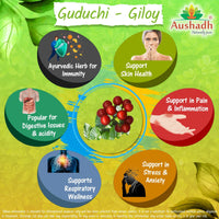 Aushadh Pure Guduchi Giloy Powder, Tinospora Cordifolia