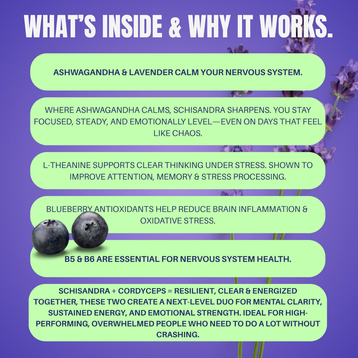 Funky Vits - “No Worries Formula” - Natural Stress Relief Capsules (Vegan, UK‑Made) - 60 Caps - 1 Month Supply