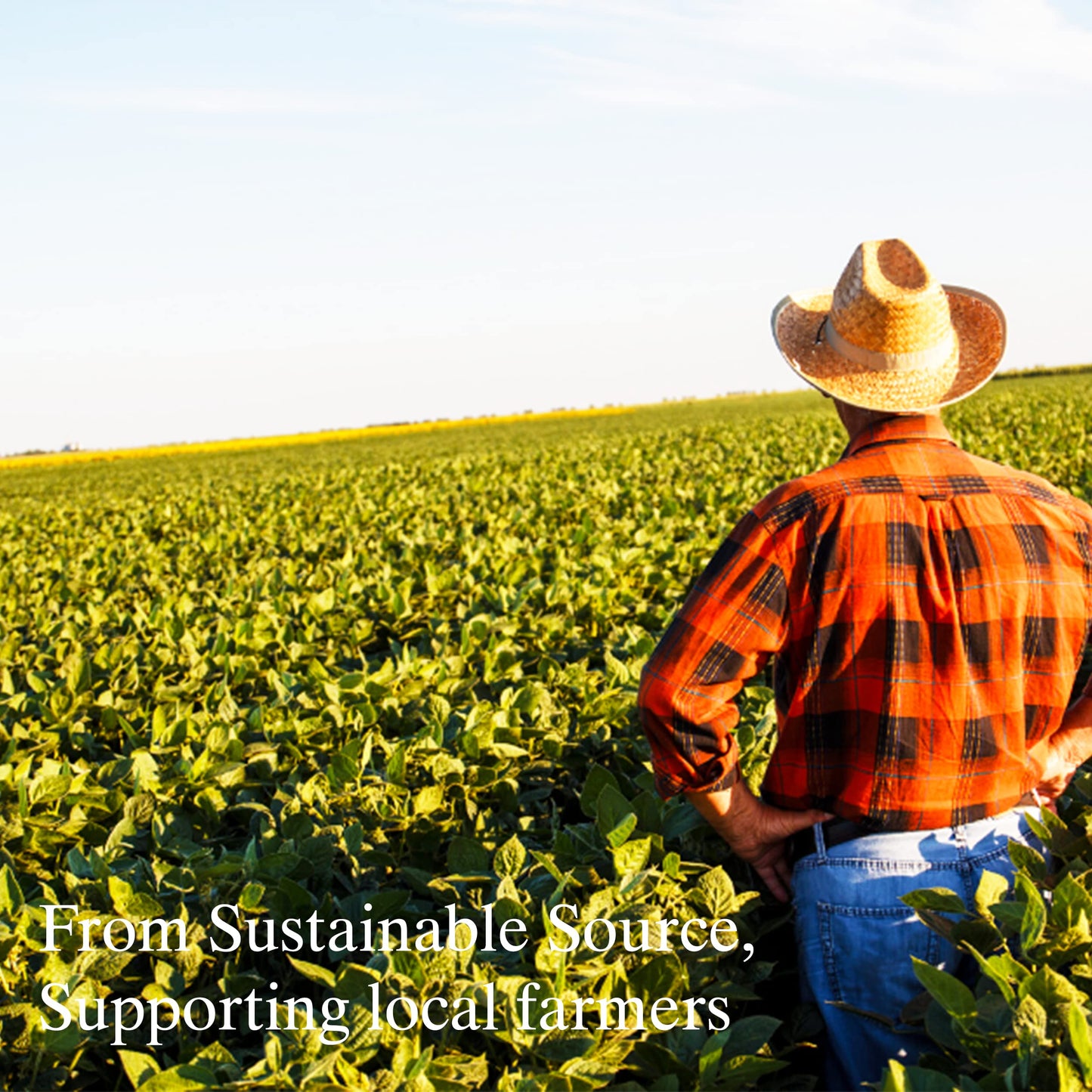 Feelia - Organic Avocado Oil - Cold Pressed, Rich in Vitamins A, D, E & Omega 3, High in Oleic Acid, 100% Pure & Organic - 100ml