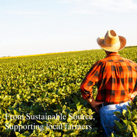 Feelia - Organic Moringa Oil - Cold Pressed, Moisturizing, Rich in Vitamins & Nutrients, High in Vitamin C, Great for Skincare, 100% Pure & Organic - 100ml