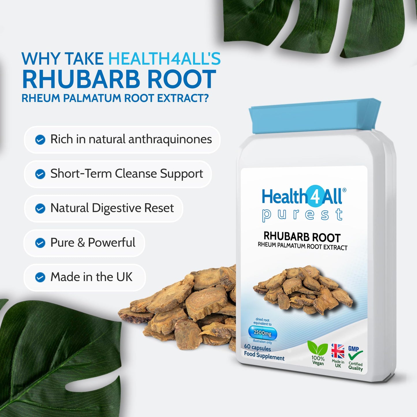 Health4All Rhubarb Root 2500mg 60 Capsules, Natural Laxative Supplement, Reduce Bloating | Digestive Support Vegan Capsules, 2 Months Supply | Made in UK