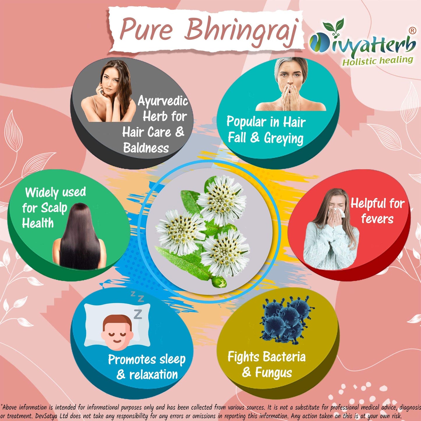 DivyaHerb Pure Bhringraj Powder