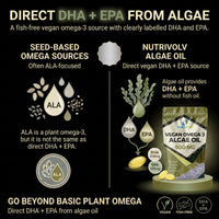 NutriVolv Vegan Omega 3 Algae Oil 500mg | 120 Vegan Softgels | DHA 200mg & EPA 100mg | Vegan Alternative to Omega 3 Fish Oil | Supports Eye, Brain & Heart Health | Essential Fatty Acid