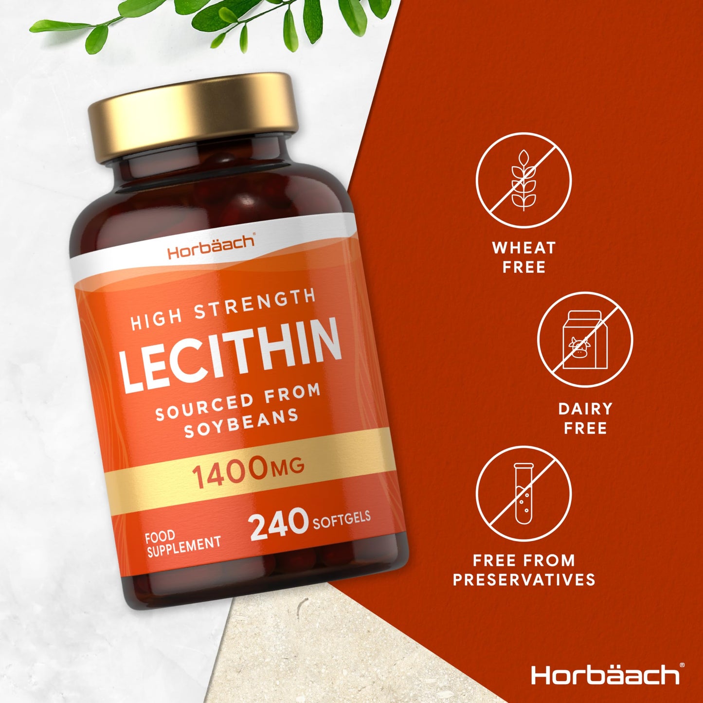 Horbäach Soy Lecithin 1400mg | 240 Softgel Capsules | High Strength Lecithin Sourced from Soy Beans | Preservative Free | by Horbaach